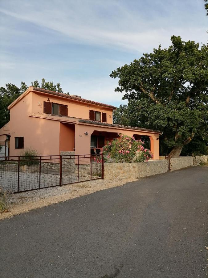 סלינה Studio Apartman Hrast מראה חיצוני תמונה